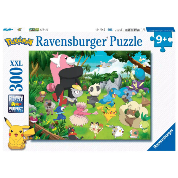 Puzzel 300 stukjes