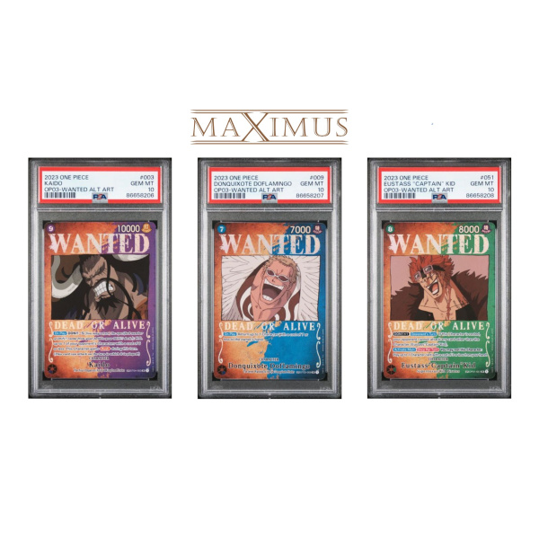 OP03 Wanted Alternate Art