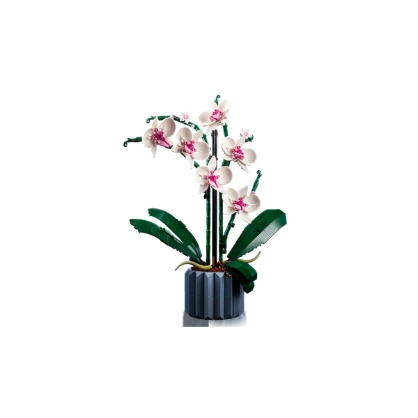 10311 LEGO The Botanical Collection: Orchidee